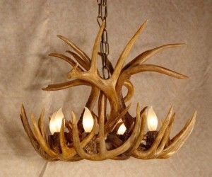 Deer Antler Sheds: Learn How to Make an Antler Chandelier on http://www.deeranddeerhunting.com Diy Deer Antler Chandelier, Diy Antler Light Fixture, Antler Chandelier Diy, Diy Antler Chandelier, Antler Lamp Diy, Antler Light Fixtures, Deer Chandelier Antlers, Antler Light Fixtures Deer, Deer Antler Chandelier