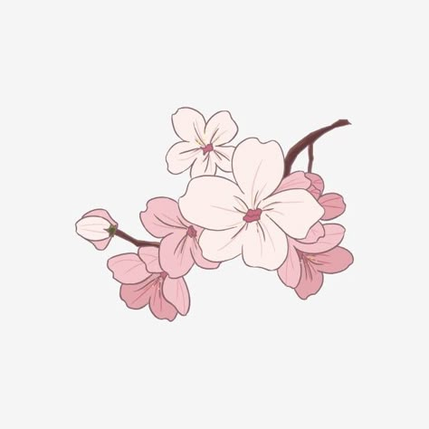 Cherry Blossom Aesthetic Drawing, Cherry Blossom Drawing, Cherry Blossoms Illustration, Graphic Assets, Illustration Template, Flower Symbol, Rose Illustration, Cherry Blossom Art, Flower Icons