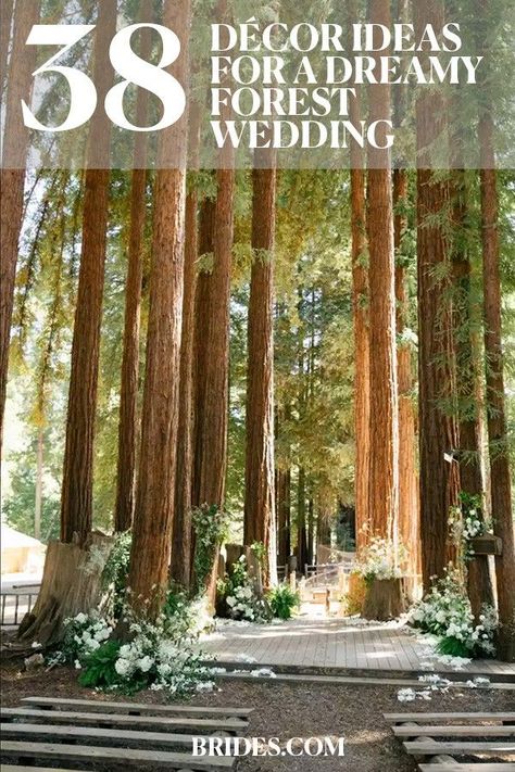 Forest Arbor Wedding, Diy Easy Wedding Arch, Forest Themed Wedding Decorations, Wedding Forest Decoration, Forest Wedding Arch Ideas, Fall Woods Wedding Ceremony, Wedding Ceremony In The Woods, Enchanted Forest Wedding Ideas, Enchanted Forest Wedding Arch