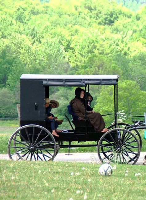 E Amish Village, Amish Buggy, Amish Lifestyle, Amish Living, Amish Culture, Elkhart Indiana, Amish Life, Amish Farm, Body By Vi