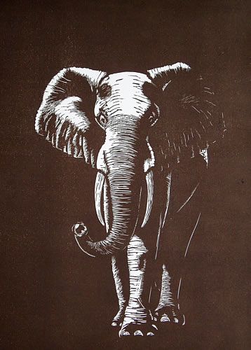 ✦   'elephant'  -  mary collett  -  linocut Elephant Lino Print, Lion Linocut, Elephant Linocut, Animal Printmaking, Linocut Ideas, Woodblock Printmaking, Wild Animals Painting, Lino Cuts, Woodcut Art