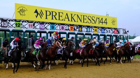 2022 Preakness Stakes Guide: What to Know About the Race, Horses, Odds and More – NBC 5 Dallas-Fort Worth Preakness Party, Horse Information, Preakness Stakes, Derby Winners, Belmont Stakes, Free Horses, Sports App, Weather Seasons, Race Horses