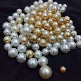 Pearl Wholesale: Ten Things You Didn't Know About Pearls Pearls Aesthetic, Simple Pearl Pendant, Three Strand Pearl Necklace, Pearl Rope, Jewel Of The Seas, Oc Design, Dream Weaver, Buy Pearls, Golden South Sea Pearls