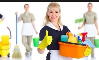 If you need assistance with bathroom cleaning, then choose Mercedes Diaz. She handles various services, including dusting, vacuuming, kitchen cleaning, and more. Bathtub Tile, Cleaning Tile Floors, Drill Brush, Apartment Cleaning, Aged Care, Kitchen Sponge, House Cleaning Services, Clean Tile, Cleaning Walls