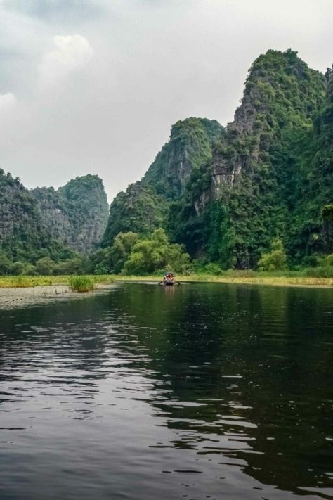 Image of the Ngo Dong River in Cuc Phuong National Park in Vietnam Cuc Phuong National Park, Chinese Family, Oasis Home, River Delta, Ancient Buildings, Red River, Endangered Species, Ho Chi Minh, Countries Of The World