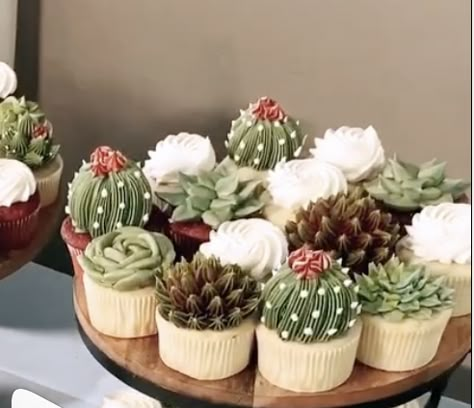 Desert Theme Cupcakes, Desert Themed Cake, Cactus Snacks, Succulents Cupcakes, Western Cupcakes, Cactus Wedding Cake, Succulent Wedding Cake, Succulent Wedding Cakes, Cupcake Flowers