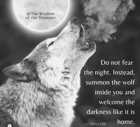 Wolf Poem, Wolf Warriors, Native American Wolf, Irish Women, Wolf Quotes, Strong Mind Quotes, Wolf Spirit Animal, She Wolf, Howl At The Moon