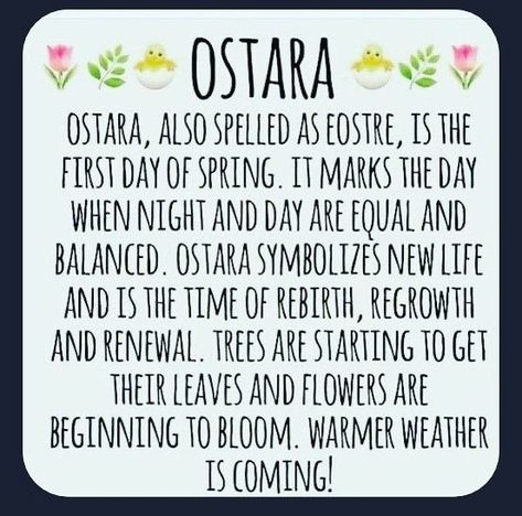 Farm Wife Blog on Instagram: "Happy Spring Equinox! 🌱��🌷 . . . #farmlife #farmwife #farmwifeblogger #farmwifeblog #farmbabe #spring #springhassprung #welcomespring #springtime #change #newbeginnings #newlife #flowers #springflowers #beautiful #beautifullife #bloom #bloomwhereyouareplanted #springequinox #springostara #ostara #eostre #springhassprung #firstdayofspring"