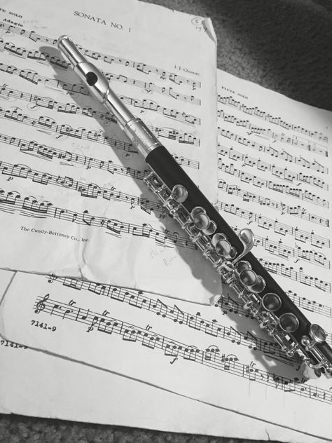 My piccolo Piccolo Instrument Aesthetic, Piccolo Aesthetic, Piccolo Instrument, Piccolo Flute, I Am A Singer, Orchestra Music, Instruments Art, Band Camp, Flute Sheet Music