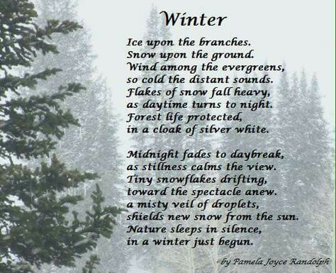 "Winter" - an original poem about winter, nature, and snow by Pamela Joyce Randolph  (Arizona Poet Lady) Poem On Winter Season, Forest Poems, December Poems, Snow Poems, Winter Thoughts, About Winter Season, Pin Ornaments, Gothic Winter, Winter Poetry