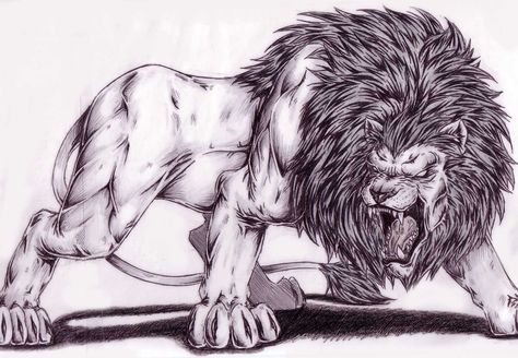 Lion 1 by Dokuro on DeviantArt Lion Side View, Lion Angry, Colorful Lion Tattoo, Angry Drawing, Scary Lion, Lion Art Tattoo, Lion Sketch, Angry Animals, Lion Drawing