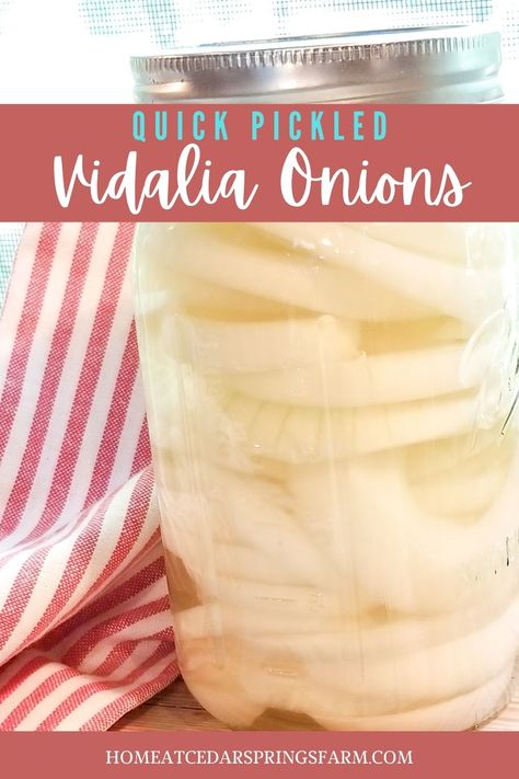 What To Use Pickled Onions On, Easy Pickled Onions Recipe, Homemade Pickled Onions, Top Of The River Pickled Onions Recipe, Refrigerator Pickled Onions, Pickles Onions Recipe, Canning Onions Recipes, Canned Pickled Onions, Pickled Vidalia Onions Recipe