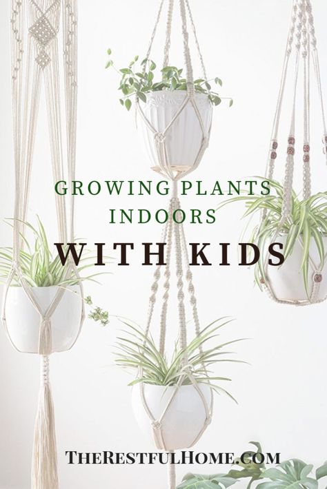 Growing plants indoors with kids--it doesn't have to be messy. Trying some of these tips right now. Starting A Plant Nursery, Types Of Plants For Kids, How Plants Grow Preschool, Grow Crystals For Kids, What Do Plants Need To Grow Kindergarten, Plants Indoor Decoration, Hanging Indoor Plants, Indoor Plant Shelves, Indoor Playroom