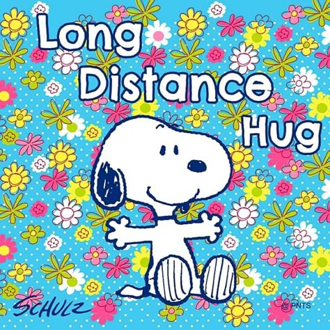 Just Checking In On You Images, Long Distance Hug, Snoopy Hug, Peanuts Quotes, Charlie Brown Quotes, Good Morning Snoopy, Hugs And Kisses Quotes, Charlie Brown And Friends, Woodstock Snoopy