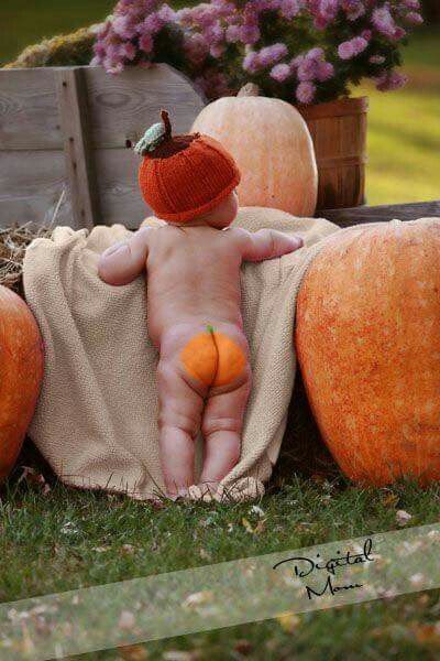 Need to do this with Elias Baby Pumpkin Pictures, Pumpkin Patch Outfit Kids, Holiday Baby Pictures, Halloween Baby Pictures, Fall Baby Photos, Fall Baby Pictures, Photo Halloween, Baby Milestones Pictures