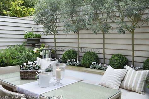 Small Courtyard Gardens, Shabby Chic Garden, Courtyard Gardens Design, Back Garden Design, Modern Garden Design, Outdoor Gardens Design, Backyard Garden Design, White Gardens, Back Gardens