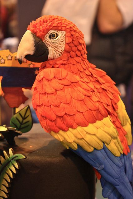 Pretty Polly ! A cake by Dalila Cabrita de Pena from Venezuela #Provestra #Skinception #coupon code nicesup123 gets 25% off Realistic Animal Cakes, Parrot Cakes, Parrot Cake, Realistic Cakes, Sculpted Cakes, Bird Cakes, Animal Cakes, Macaw Parrot, Animal Cake