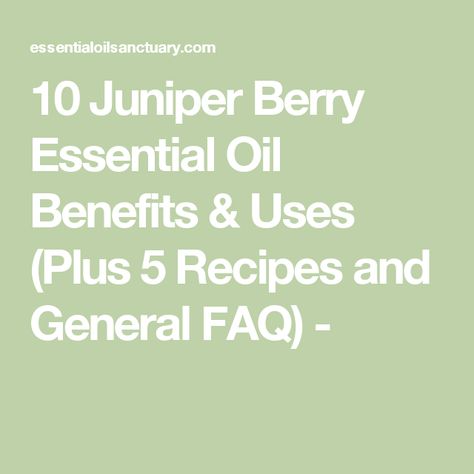 10 Juniper Berry Essential Oil Benefits & Uses (Plus 5 Recipes and General FAQ) - Juniper Plant, Juniper Oil, Juniper Essential Oil, Juniper Berry Essential Oil, Essential Oils Health, Essential Oil Benefits, Juniper Berry, Oil Benefits, Oil Uses