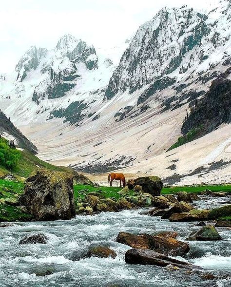 Beautiful Sonmarg ❤️ Sonmarg Kashmir Photography, Kashmir Itinerary, Kashmir Pics, Sonmarg Kashmir, Aru Valley, Jaipur Tourism, Vintage Kashmir, Kashmir Photos, India Landscape