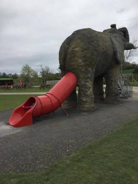 This Awful Slide Placement You Had One Job, Design Fails, Playground Design, One Job, Buzz Lightyear, Kids Playground, Animal Photo, Funny Posts, Funny Photos