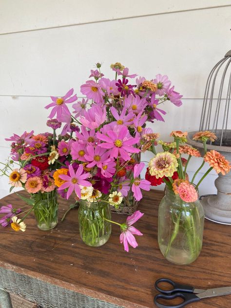 Zinnia Flower Bed, Bush Garden, Backyard Flowers, Zinnia Flowers, Butterfly Bush, Cut Flower Garden, Rose Bush, Climbing Roses, Different Plants