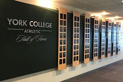 Hall Of Fame Wall Design, Hall Of Fame Wall, Stadium Branding, School Lobby, Fame Ideas, High School Design, School Hall, Office Wall Design, College Walls