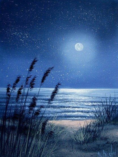 Artist: Wilson R. Bickford Bob Ross Paintings, Night Sky Painting, Painting Ocean, Moon Painting, Painting Subjects, Night Landscape, Sky Painting, Acrylic Painting Techniques, Bob Ross