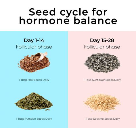 Seed Cycle, Hormone Nutrition, Cycling Food, Ayurveda Vata, Fibroid Diet, Foods To Balance Hormones, Hormonal Weight Gain, Seed Cycling, Fertility Foods