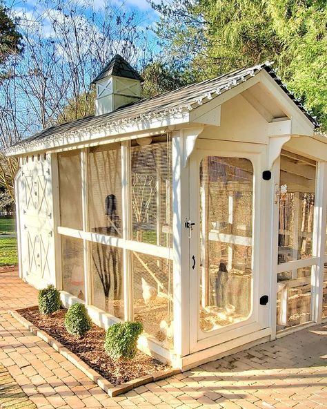 Country Living on Instagram: “This charming chicken coop has us SO ready for spring. 🤩 #regram @happydaysfarm” Happy Day Farm, Cute Chicken Coops, Small Chicken Coops, Chicken Shed, Portable Chicken Coop, Chicken Coop Run, Cheap Backyard, Coop Design, Best Chicken Coop