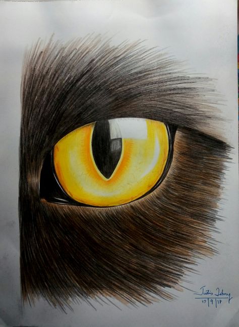 Eagle Eye Drawing, Eye Pencil Drawing, Eagle Eyes, Eagle Vector, Buy Paintings Online, Eyes Drawing, Eagle Eye, Eye Pencil, Online Painting