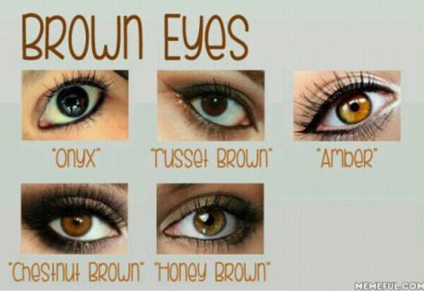 Honey Eyes Color, Shades Of Brown Eyes, Amber Eyes Color, Colour Eyes, Honey Eyes, Different Shades Of Brown, Eye Color Chart, Brown Hair Shades, Amber Eyes