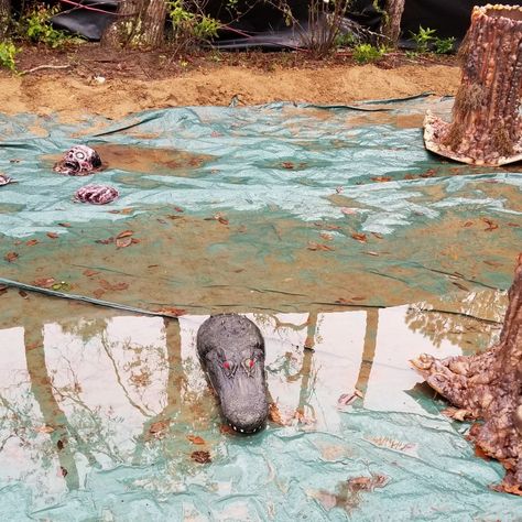 Alligator head in swamp Swamp Decorations Diy, Swamp Decorations, Swamp Alligator, Alligator Head, Great America, Diy Halloween Projects, 2024 Ideas, Prop Making, Halloween 2022