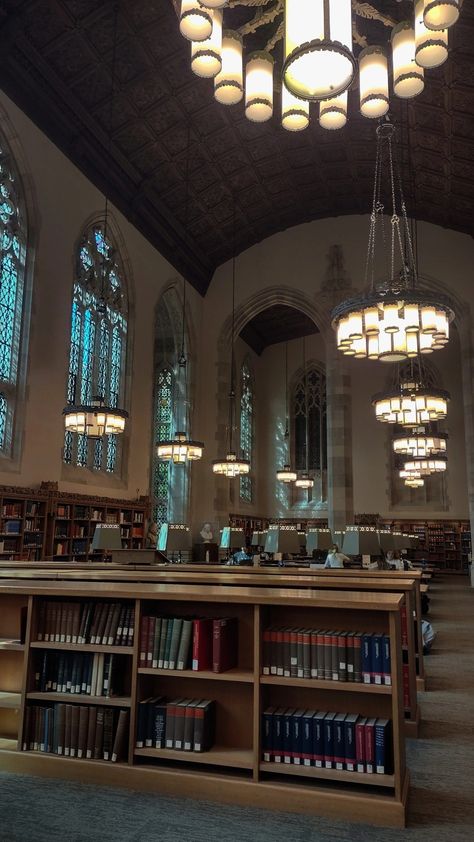 Yale Library Aesthetic, Yale College Aesthetic, Yale University Aesthetic, Yale Dorm, Yale Library, Validation Aesthetic, Academic Validation Aesthetic, Yale Aesthetic, Library Dark Academia