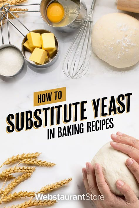 Yeast Substitute, Pizza Dough Recipes, Baking Powder Substitute, Homemade Gluten Free Bread, Yeast Free Breads, Bakers Yeast, Yeast Packet, Yeast Starter, Recipes Pizza