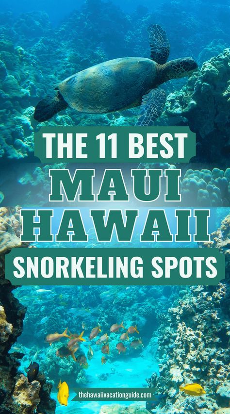 The 11 Best Snorkeling Spots on Maui (+7 crucial tips) - The Hawaii Vacation Guide Molokini Crater Snorkeling, Snorkeling In Hawaii, Maui Hawaii Things To Do In, Maui Adventures, Molokini Crater, Best Hawaiian Island, Maui Map, Hawaiian Honeymoon, Best Beaches In Maui