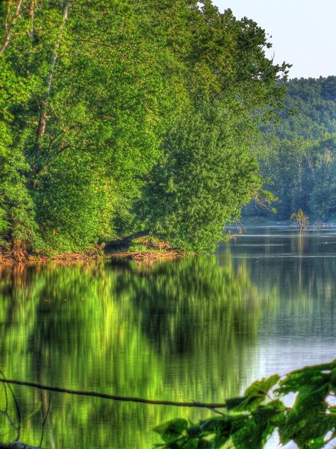 Shenandoah River, Virginia Shenandoah River, Romantic Ideas, Virginia Is For Lovers, Country Roads Take Me Home, Shenandoah Valley, Virginia Usa, Commonwealth, Pretty Places, West Virginia