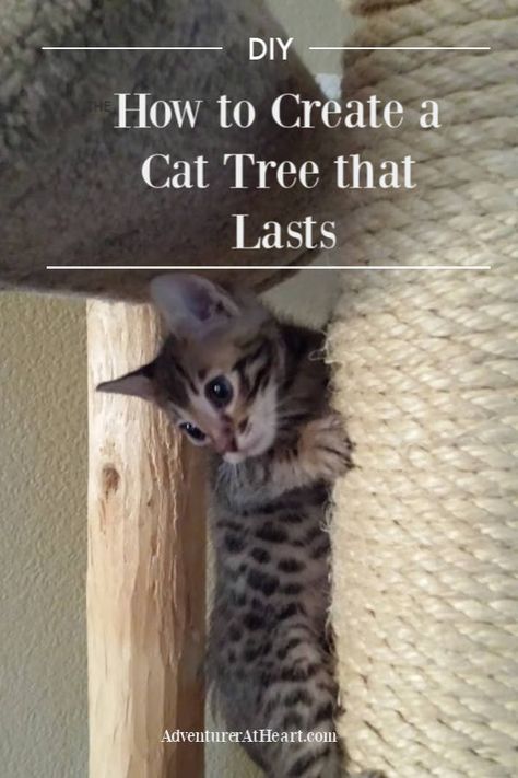 How To Build A Cat Tower, Cat Condo Diy How To Build, Make Your Own Cat Tree, How To Make A Cat Tower, Cats Climbing Trees, Build Your Own Cat Tree, How To Build A Cat Tree Diy, Diy Cat Climbing Tree, Cat Tree Diy Plans How To Build