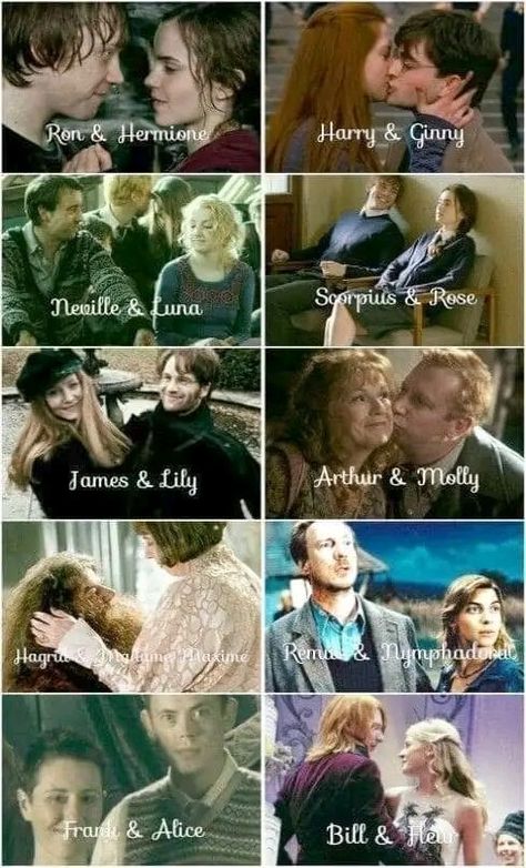 Harry Potter Books According To Hermione, Disney X Harry Potter, Fan Fiction Harry Potter, Harry Potter Love Kiss, Harry Potter Hermione And Draco, Draco Harry Potter Ship, Harry And Hermione Ship, Harry Potter Wife, Harry Potter Romance