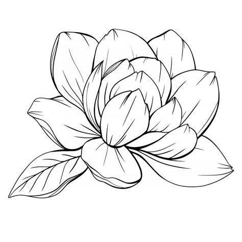 Magnolia Tattoo Design Drawing, Magnolia Tattoo Outline, Magnolia Line Art, Magnolia Drawing Simple, Flower Outline Art, Magnolia Outline, Magnolia Flower Drawing, Magnolia Drawing, Magnolia Tattoo