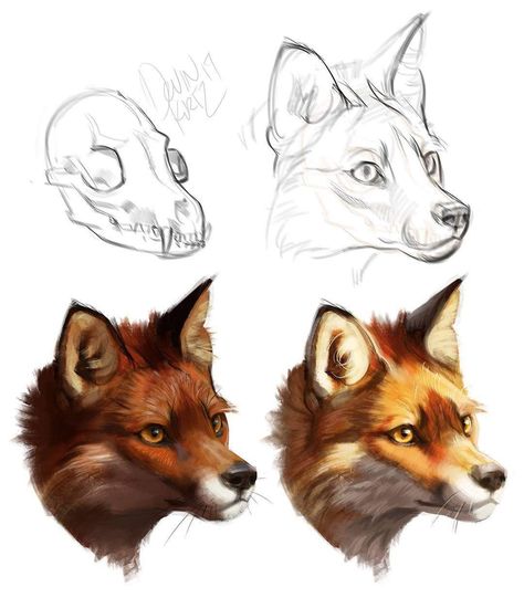 Devin Elle Kurtz, Fox Sketch, Fox Drawing, Canine Art, Anime Wolf, Mythical Creatures Art, Fox Art, Animal Sketches, Creature Art