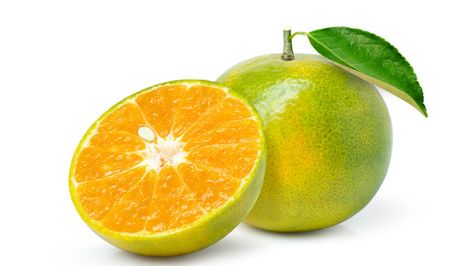 The Real Reason Some Oranges Are Green Rain Season, Types Of Oranges, Juice Ad, Valencia Orange, Fruits Drawing, It Is Okay, Frozen Fruits, Juicy Fruit, Orange Fruit