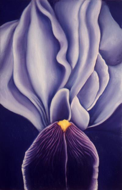 Georgia O Keefe Flower Paintings Georgia O'keefe Art, Georgia O Keeffe Paintings, O Keeffe Paintings, Georgia Okeefe, O Keefe, Alfred Stieglitz, Georgia O Keeffe, O Keeffe, Purple Iris