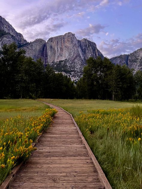 Outdoor Vision Board, National Parks Pictures, Us Travel Aesthetic, Out West Aesthetic, Yosemite Aesthetic Vintage, Yosemite National Park Autumn, Yosemite National Park Aesthetic, Yosemite Aesthetic, National Parks Aesthetic