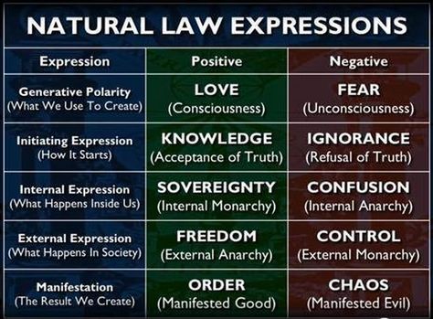 Stillness in the Storm : The Natural LAW | Mark Passio's Natural ... Fear Of Love, Knowledge And Wisdom, Positive And Negative, Set You Free, Mind Map, Human Nature, Law Of Attraction, Me Quotes, Life Quotes