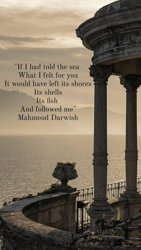 Mahmoud Darwish Poems, Mohammed Darwish, Mahmud Darwish, Mahmoud Darwish Quotes, Mahmoud Darwish Poetry, Mahmood Darwish, Arab Poetry, Arabic Literature, Mahmoud Darwish