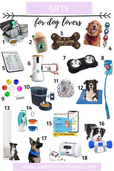 Small Dog Accessories: Big Style for Little Breeds Ideas For Dogs, Dog Dna Test, Dog Travel Bag, Gifts For Dog Lovers, Puppy Supplies, Dog Gear, Dog Travel, Gifts For Dog Owners, Dog Gift