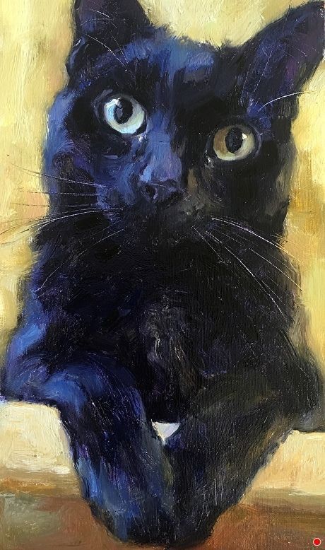 Katya Minkina, Books Sketch, Cat Art Painting, Cat Portrait Painting, Black Cat Painting, Cat Art Illustration, 강아지 그림, Black Cat Art, Cat Artwork