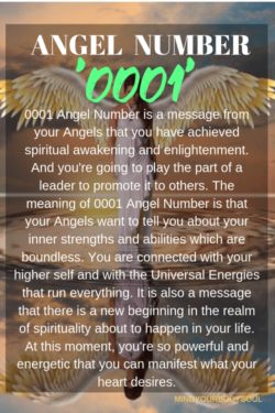 0001 Angel Number is a message from your Angels that you have achieved spiritual awakening and enlightenment. And you're going to play the part of a leader to promote it to others. 2233 Angel Number, 2233 Angel Number Meaning, 2323 Angel Number, Spiritual Numbers, Angel Number 1, S Meaning, Goddess Athena, Numerology Numbers, Angel Number Meanings