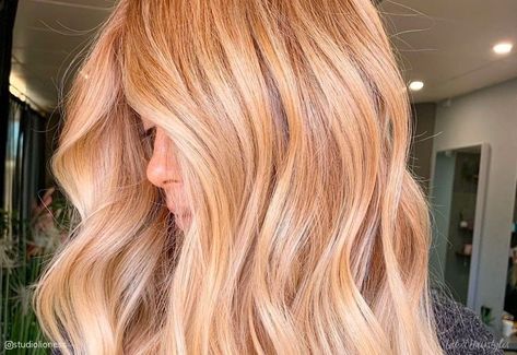 Browse our photo collection of the hottest and most popular golden blonde hair ideas on the radar this season! Light Golden Blonde Hair Color, Light Golden Blonde Hair, Gold Blonde Hair, Golden Hair Color, Light Golden Blonde, Golden Blonde Hair Color, Honey Blonde Hair Color, Strawberry Blonde Hair Color, Golden Blonde Hair