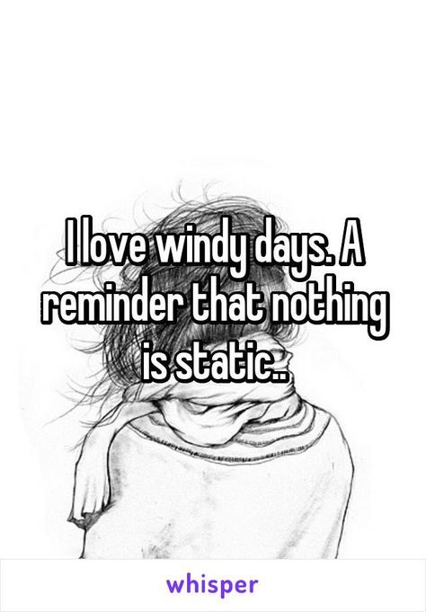 Windy Quotes, Windy Hair, Hair Quotes Funny, Pullman Washington, Days Quotes, Funny Weather, True Confessions, Definition Quotes, Humor Quotes